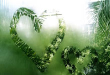 3老将留俩，王大雷回应落选国足:点名刘殿座