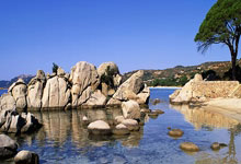 3老将留俩，王大雷回应落选国足:点名刘殿座