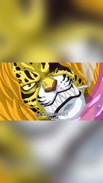 本赛季每个人都有出场机会，不明白这点的